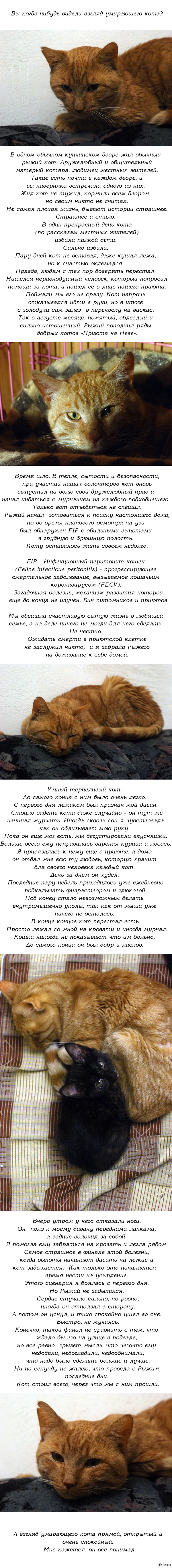 Кракен 16