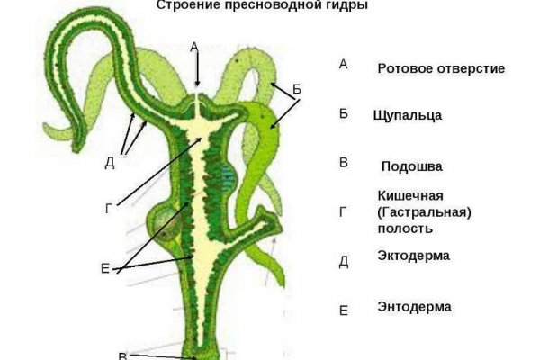 Кракен рабочее на сегодня сайт