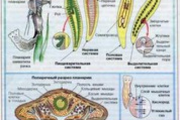 Кракен вход ссылка kraken torion net